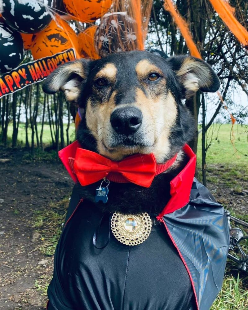 122852802_10157810476642239_429530218888195883_o