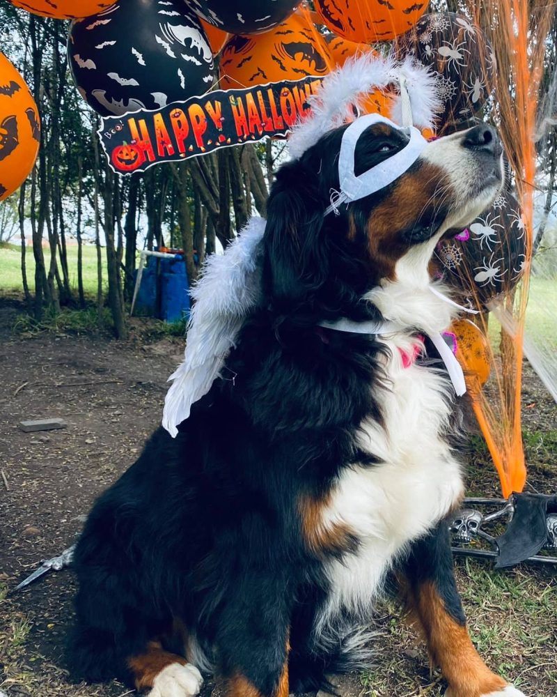 122891268_10157810473802239_7604910641693297632_o