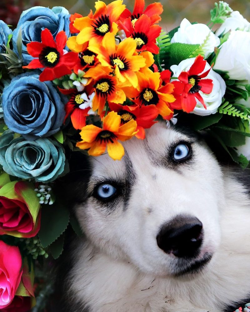 70403525_10156701161222239_510270044937125888_o