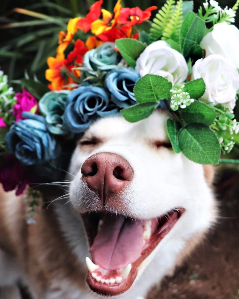 70952680_10156701229407239_7276479536424812544_o